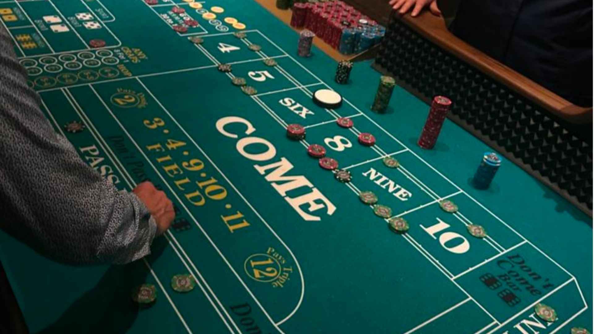 Explore The Ever Growing Baccarat Universe